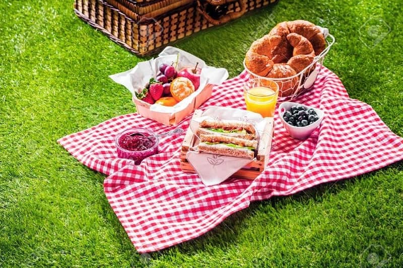 picnic là gì